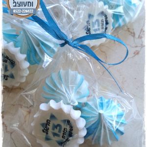 נשיקות בר מצווה הראל