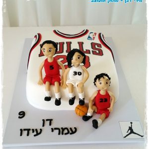 עוגת שיקגו בולס מבט כולל